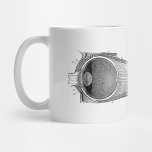 Human Eye Anatomy Mug